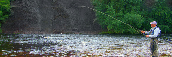 rod slideshow sage 2