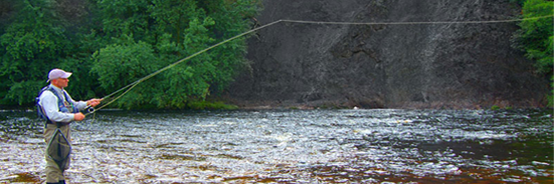 rod slideshow sage